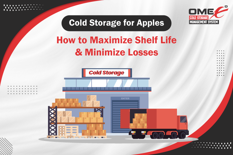 Cold Storage for Apples: How to Maximize Shelf Life and Minimize Losses
