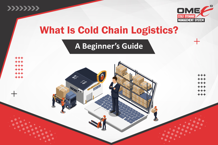 What Is Cold Chain Logistics? A Beginner’s Guide